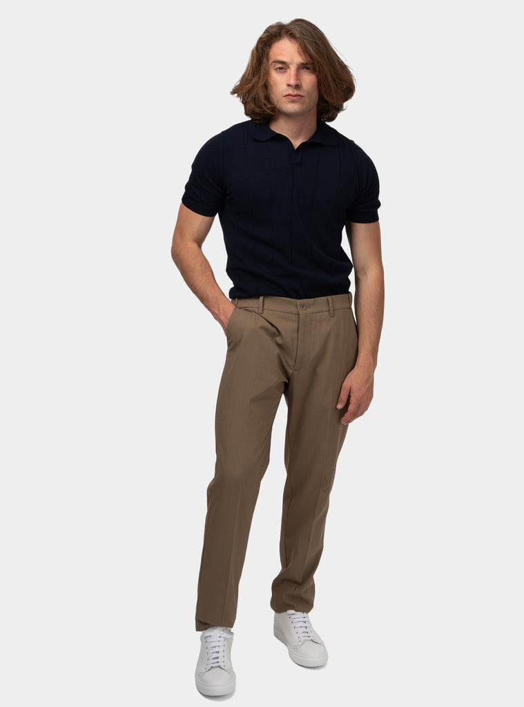 immagine-5-berwich-pantalone-in-cotone-taupe-pantalone-uomo-morelloelaxts1024x-taupe